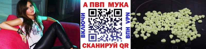 A PVP СК КРИС  Архангельск 