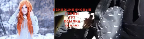 индика Алексеевка