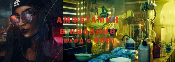 индика Алексеевка