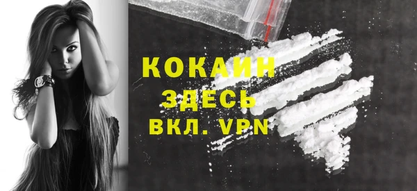 индика Алексеевка